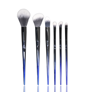 6 -Brush Set